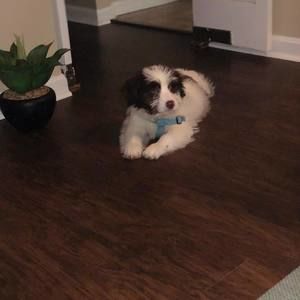 Meet your Posher, Jill